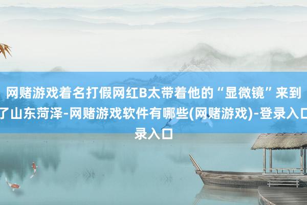 网赌游戏着名打假网红B太带着他的“显微镜”来到了山东菏泽-网赌游戏软件有哪些(网赌游戏)-登录入口
