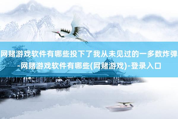 网赌游戏软件有哪些投下了我从未见过的一多数炸弹-网赌游戏软件有哪些(网赌游戏)-登录入口