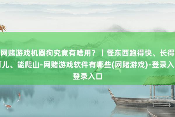 网赌游戏机器狗究竟有啥用？丨怪东西跑得快、长得可儿、能爬山-网赌游戏软件有哪些(网赌游戏)-登录入口