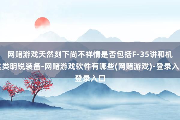 网赌游戏天然刻下尚不祥情是否包括F-35讲和机这类明锐装备-网赌游戏软件有哪些(网赌游戏)-登录入口