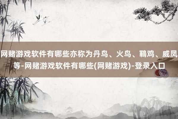网赌游戏软件有哪些亦称为丹鸟、火鸟、鶤鸡、威凤等-网赌游戏软件有哪些(网赌游戏)-登录入口