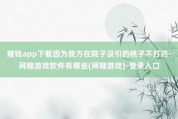 赌钱app下载因为我方在院子汲引的桃子不打药-网赌游戏软件有哪些(网赌游戏)-登录入口